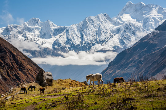 Manaslu Larkhya La Pass Trek