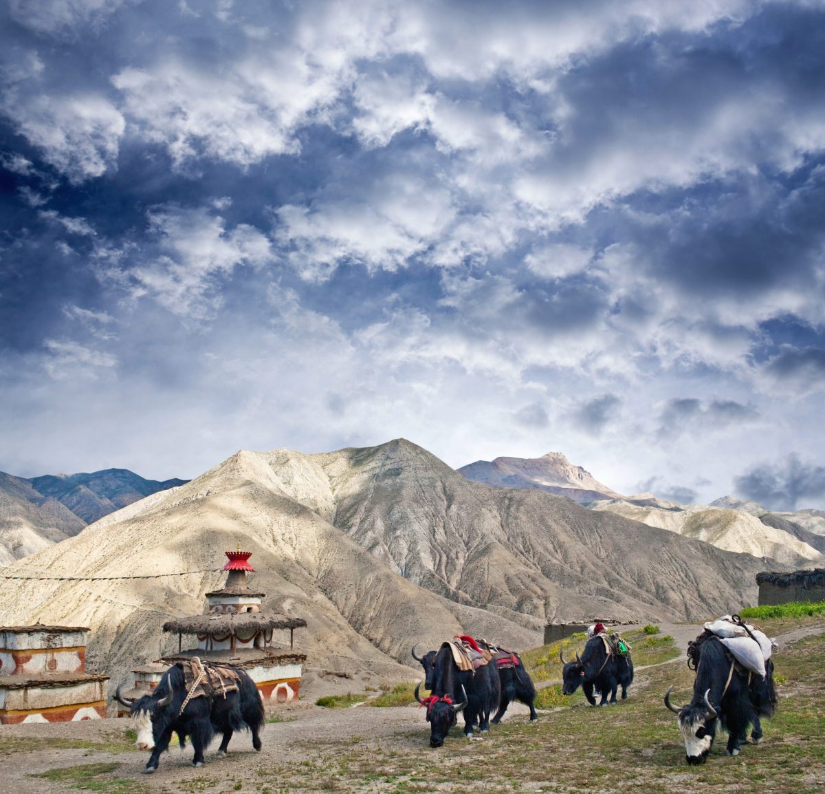 Upper Dolpo Trek