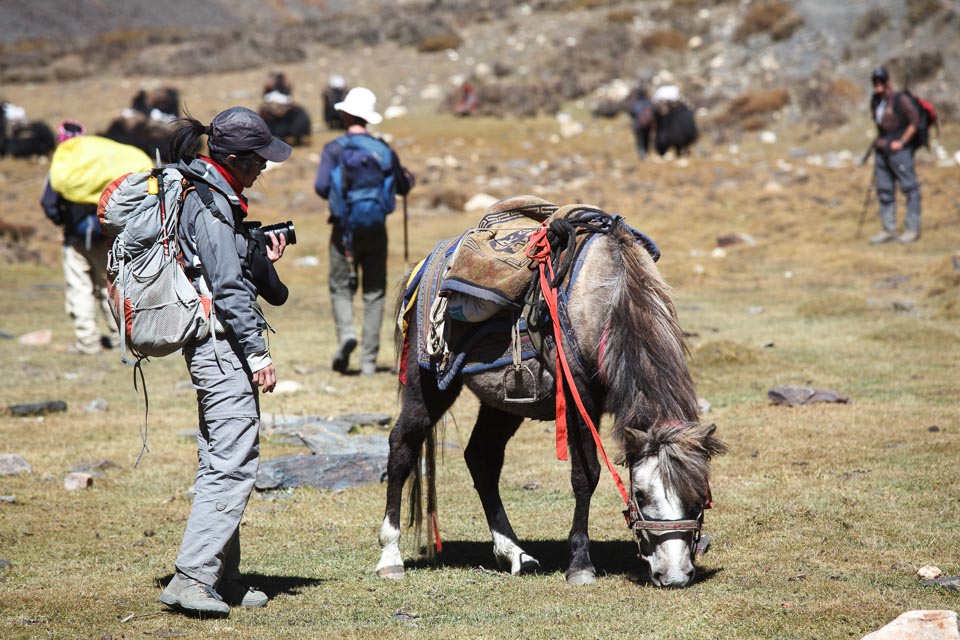 Upper Dolpo Trek3